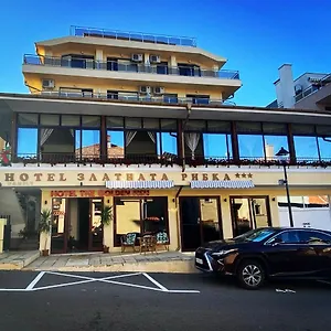 Hotel Family The Golden Fish